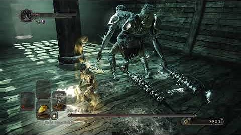 Flexile Sentry SL1 NG+7 CoC No Roll/Block/Parry