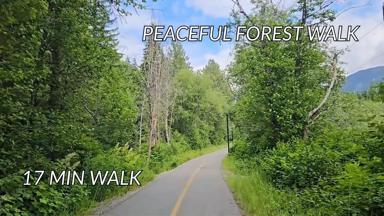 Peaceful Suburban Forest Walk (17 Min) | ASMR, Treadmill & Walking Pad Video