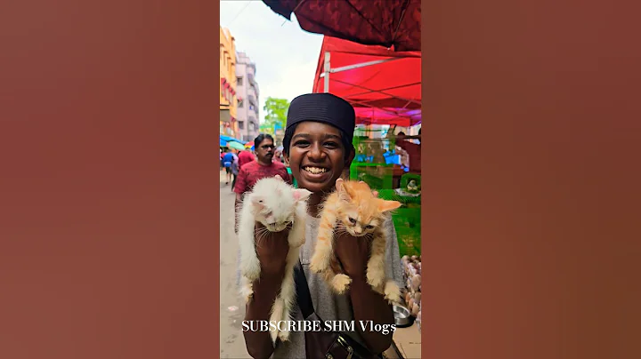 Watch the video about Cheapest & Biggest Pet Market Sun Kannur Varities of PETS Market #persian #cat #love #parrot #pets