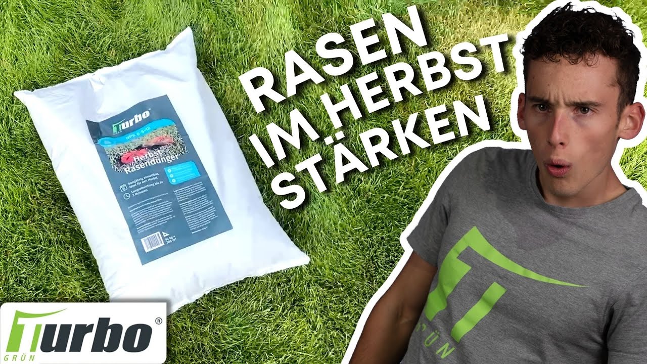 Der ideale Rasendünger für den Herbst HerbstRasendünger Turbogrün