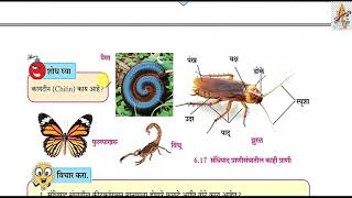 6.प्राण्यांचे वर्गीकरण Part3 दहावी विज्ञान आणि तंत्रज्ञान Pranyanche Vargikaran class 10th science