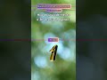 Python Tutorial Shorts | Learn Python from Basic to Advanced