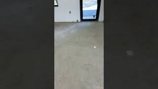 Carpet glue removal formula 626 sentinel