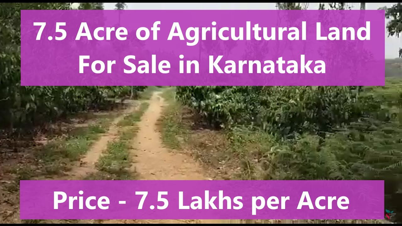 Karnataka 7.5 Acre Of Agricultural Land For Sale Located At Billur