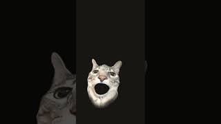 I don’t know what I’m doing