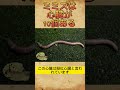 【心臓が10個?】ミミズの体の作りがえぐい件