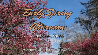 Afternoon at Bernheim