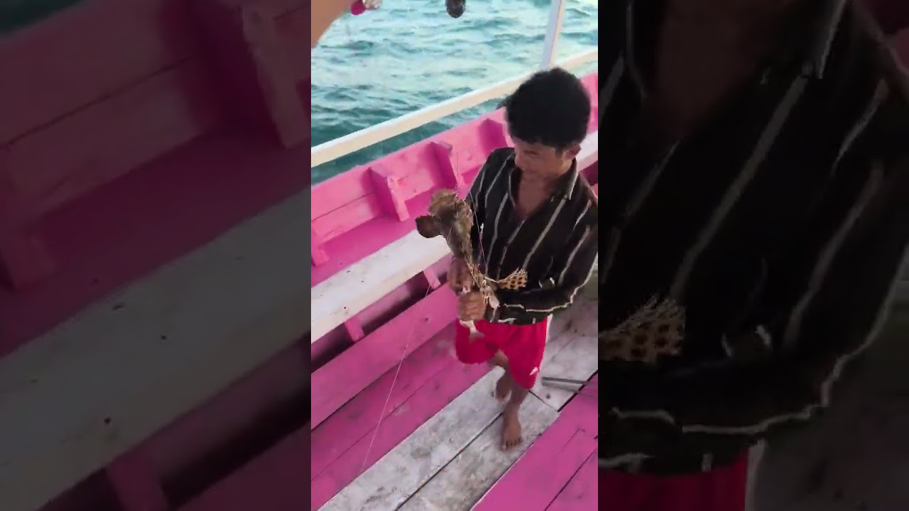 3281dce0 dfb4 42fc 9c38 80c5997ba11a