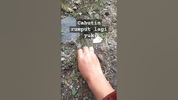 Pelangi seusai hujan #shortvideo #youtubeshorts #aktivitasiburumahtangga #aviwkila