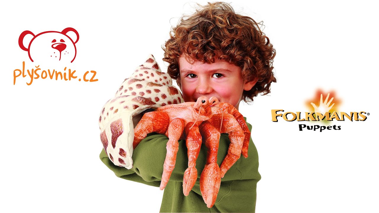 Video: Rak poustevníček