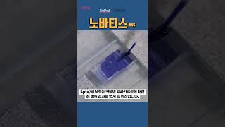[NVS] 노바티스 ◤맨해튼튜브◢