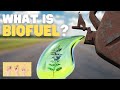 Understanding Biofuels and Biomass