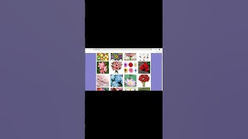 Create An Image Search App Using React JS |#react #shorts #javascript