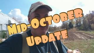 Mid-October Update - My Video Cameras Stink!