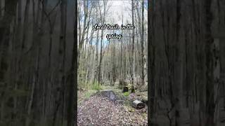 #rock #nature #hiking #trails #outdoors #outdooradventure #youtubeshorts #shorts #adventure #music
