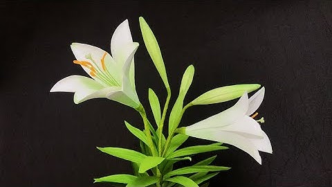 ABC TV | How To Make Easter Lily Paper Flower #1 - Craft Tutorial