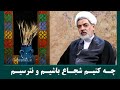 چه کنیم که نترسیم و شجاع باشیم دکتر رفیعی