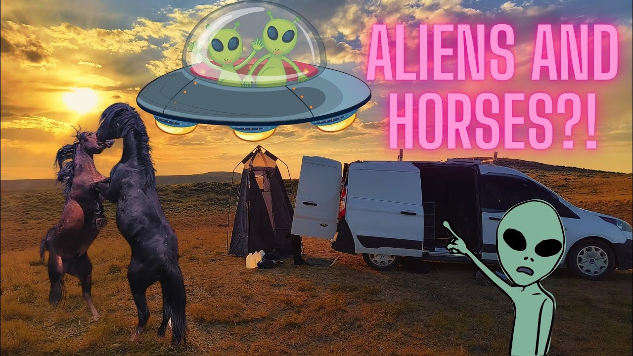 CRAZY Alien lights, WILD fighting horses, and a huckleberry beer review