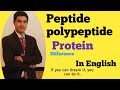 Peptide, polypeptide and protein in ENGLISH by dr Hadi