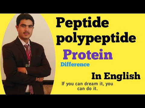Peptide, polypeptide and protein in ENGLISH by dr Hadi