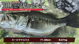 世界最速バス釣り #01【SIMPLEシリーズ for Nintendo Switch Vol.3 THE バスフィッシング】 screenshot 4