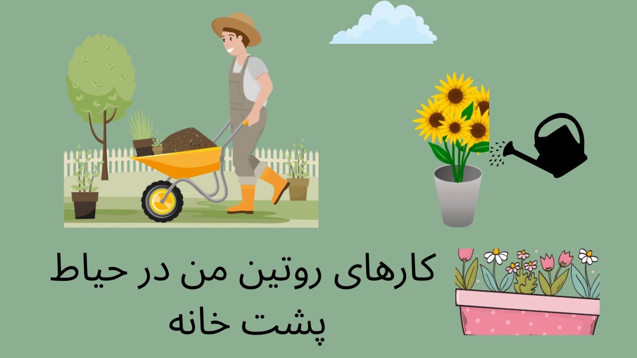 کارهای هر روزه ای که من در حیاط پشت خونه انجام میدم. جولای ۲۰۲۵