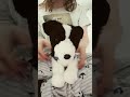 Essa #essa #emotionalsupportstuffedanimal #douglasdog #essagear
