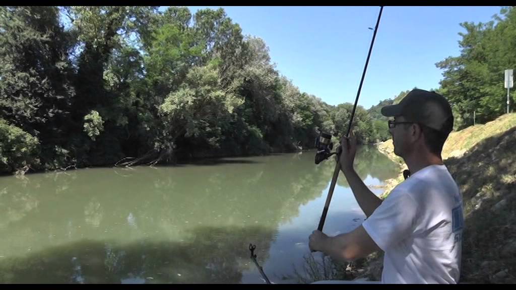 Italian Fishing TV - Shimano - Barbel feeder ad Umbertide