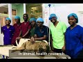 Thank You Video from Ghanaian Veterinary Student
