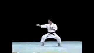kata Nipaipo Shito Ryu