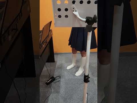 【歌ってみたリクエスト】Beginner／AKB48