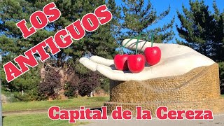 LOS ANTIGUOS, Tenés Que Conocer Este Bello Pueblo de Santa Cruz