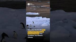 Scientists Warn Antarctica Could Disrupt Global Climate