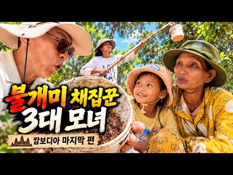 할머니부터 손녀까지… 불개미를 잡아 하루를 살아가는 가족[캄보디아6편]