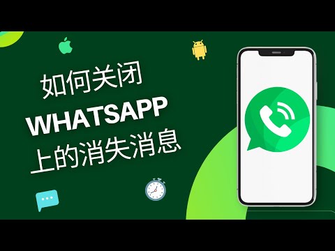 如何关闭 WhatsApp 上的消失消息
