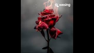 ku doa agar kau bahagia