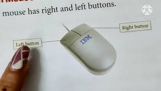 Celebrity Computer std2 ch5 introduction to mouse Wealth
