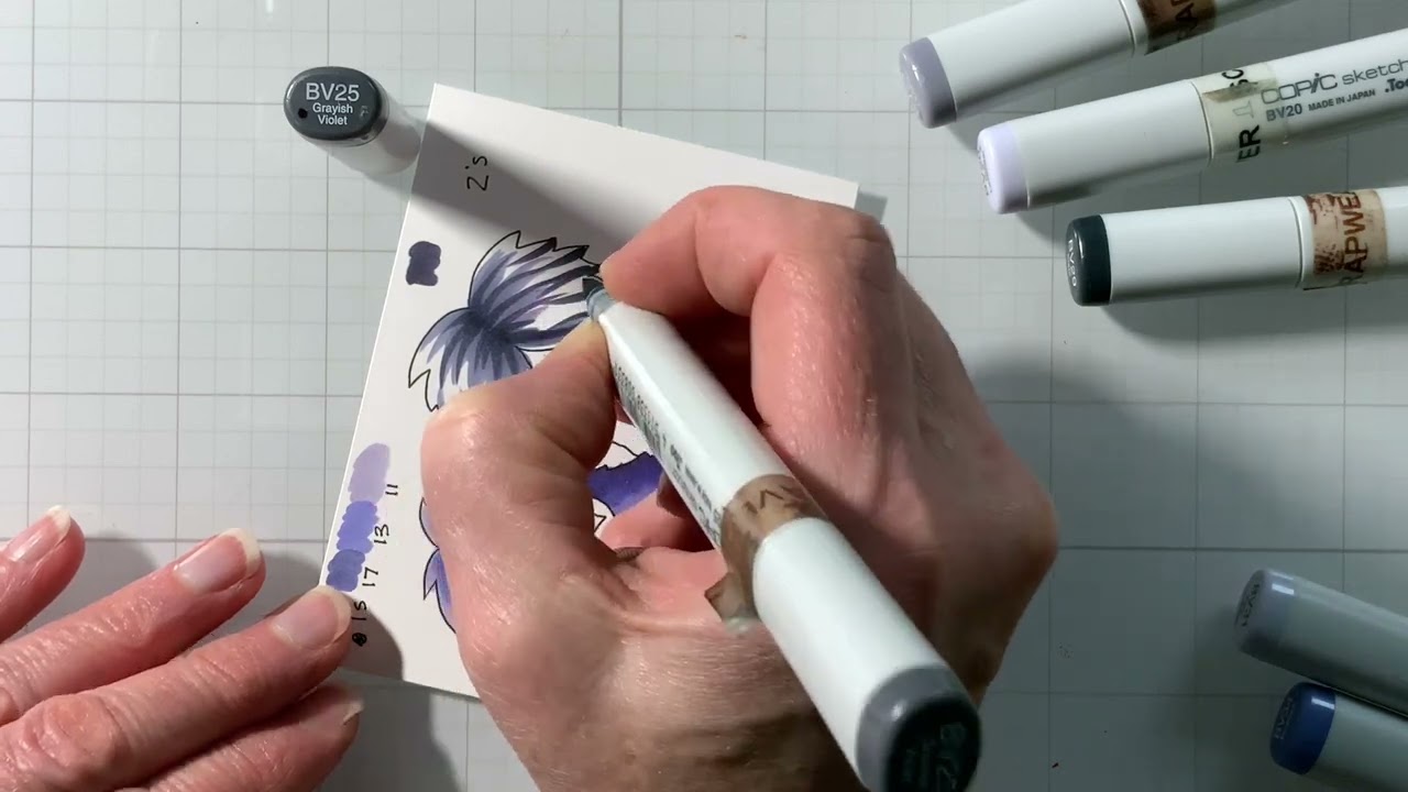 CCR   The Blue Violet Family Compared