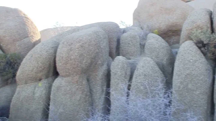 Joshua Tree National Park Tour