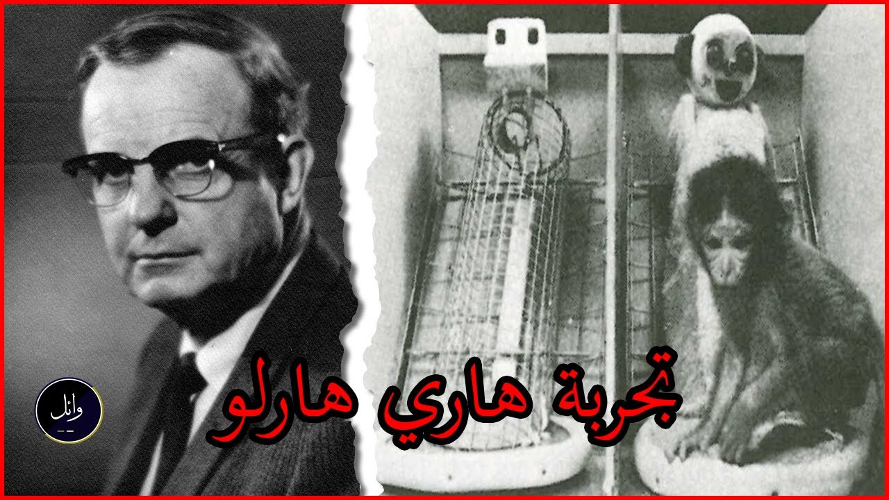 صنفت على انها واحدة من ابشع التجارب عبر التاريخ