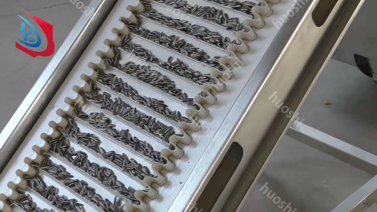 Sunflower seeds roasting machine