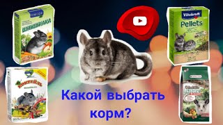 Какой корм выбрать для шиншиллы? Какой лучше?