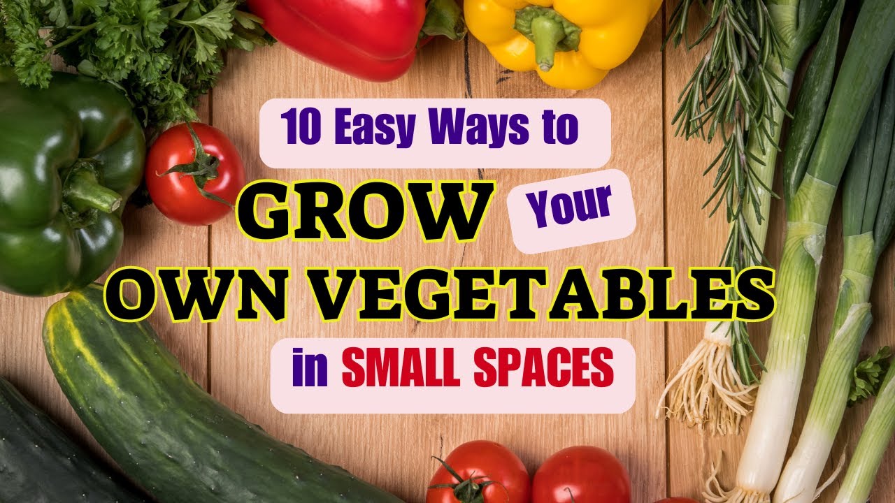 10 Easy Ways to Grow Your Own Vegetables in Small Spaces_Self ...