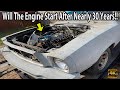 Trying To Start The Gray Mustang 302 So I Can Remove It! The Duraspark System Was Jacked Up!