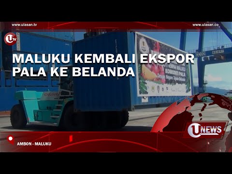 MALUKU KEMBALI EKSPOR PALA KE BELANDA  | U-NEWS