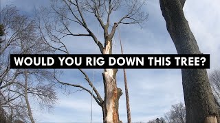 Crispy Dead Tree Removal!