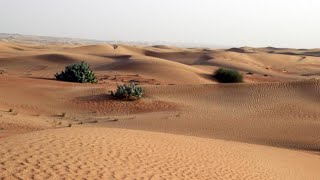 Celebrity UAE Eyes Man-Made Mountain To Increase Rainfall Net Worth