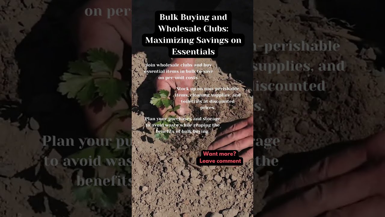 Bulk Buying and Wholesale Clubs: Maximizing Savings on Essentials