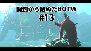 開封から始めたBOTW　#13
