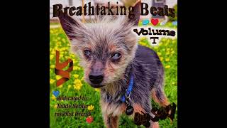 Resilience - Breathtaking Beats Vol. T - Track 9
